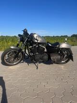 Harley-Davidson Harley Davidson Sportster 883R XL2 bobber custom - HARLEY-DAVIDSON SPORTSTER 883 CUSTOM