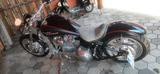 Harley-Davidson FXST Softail - wunderschöner Custom Umbau  - Angebote