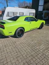 Dodge Challenger - Dodge: Grün