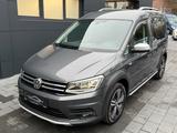 Volkswagen Caddy  Beach ALLTRACK DSG XENON BETT TISCH - VW Caddy Gebrauchtwagen in Bielefeld