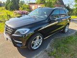 Mercedes-Benz ML 350 4MATIC - AHK, Scheckheft, 61750km,Garage - Mercedes-Benz ML 350 mit Benzin-Antrieb: Automatik