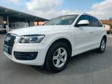 Audi Q5 2.0 TDI 170 CV quattro S tronic Advanced - Audi Q5 mit Diesel-Antrieb: Scheckheftgepflegt, Kombi