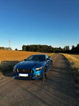 Ford Mustang 5.0 Ti-VCT V8 GT GT - Ford Mustang von privat