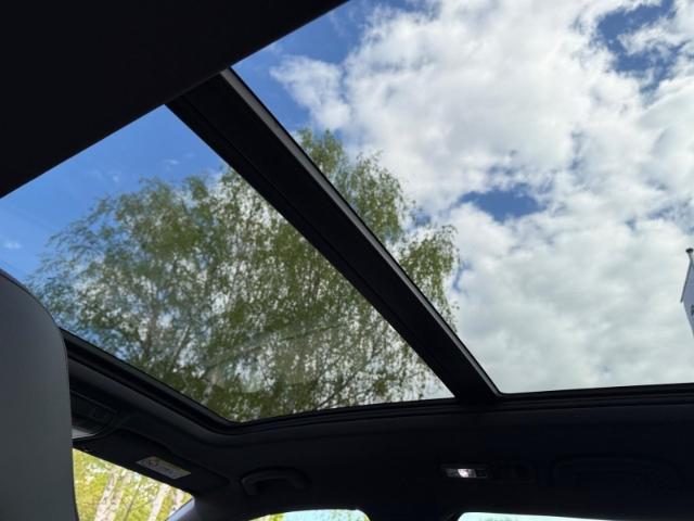 Cupra Ateca 2.0 TSI 7G-DSG 4Drive / Totwinkelass./360 