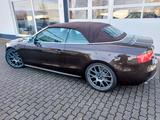 Audi S5  Cabrio - Einzelstück - - Audi S5: Cabrio