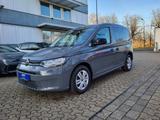 Volkswagen Caddy 1.5 TSI 85KW 75 Jahre|ACC|WINTER|AHK - Volkswagen Caddy Gebrauchtwagen