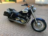 Triumph Bonneville  - Angebote