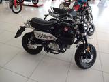 Honda Z125 Monkey - HONDA MONKEY