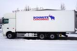DAF XF 480 6x2 E6 / Schmitz 19 EPAL Doppelstock - Kipper Schmitz
