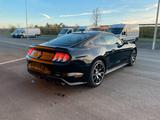 Ford Mustang 2.3 1 Hand Schwarz/Schwarz - Ford Mustang Gebrauchtwagen in Frankfurt