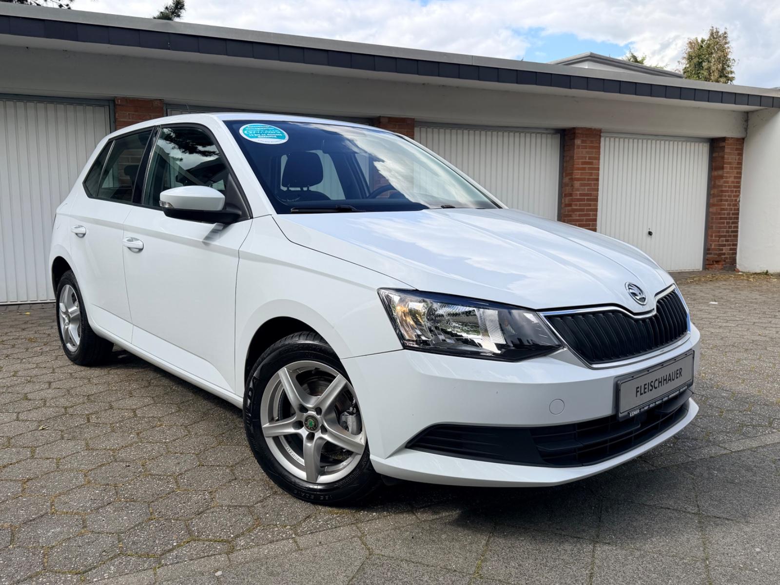 Skoda Fabia Ambition*Klima*Tüv-Neu*1.Hand*Top Zustand