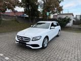 Mercedes-Benz E 220d T / Kamera/Autom/Standheizung /Ambiente - Mercedes-Benz E 220 Gebrauchtwagen in Mannheim