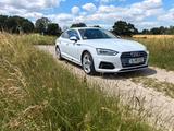 Audi A5 2.0 TFSI 140kW S tronic Sportback design ... - Audi A5: Weiß