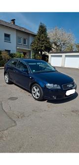 Audi A3 1.6 S line Sportpaket plus S line Sportpa... - Audi A3 aus 2003: 1.6