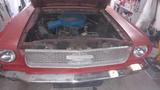 Ford Mustang 290 cuin Projekt Aufgabe - Ford Mustang: Limousine