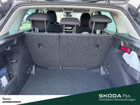 Skoda Kamiq - Vorschau Bild 10