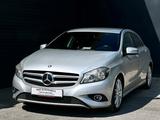 Mercedes-Benz A 220 CDI #Harman&Kardon #Navi #ParkAssist #AHK - Mercedes-Benz A 220 aus 2013