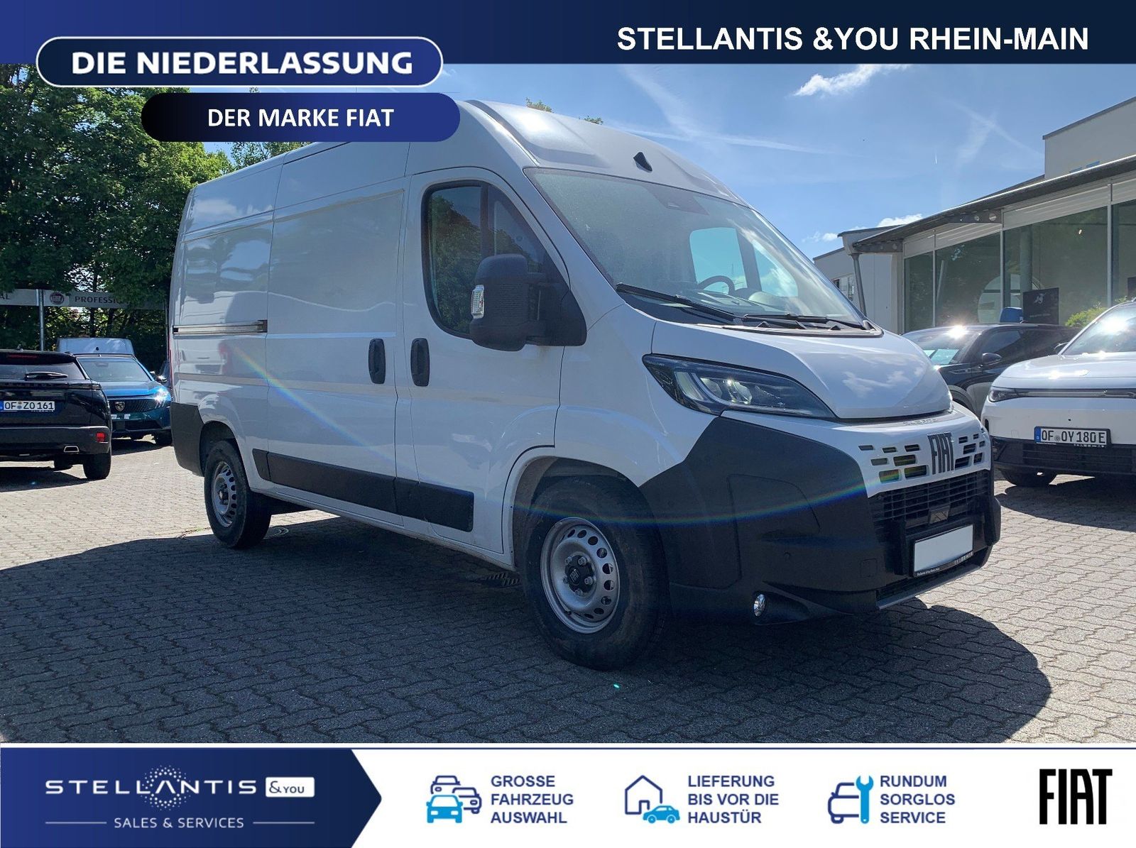 Fiat Ducato - Bild 3