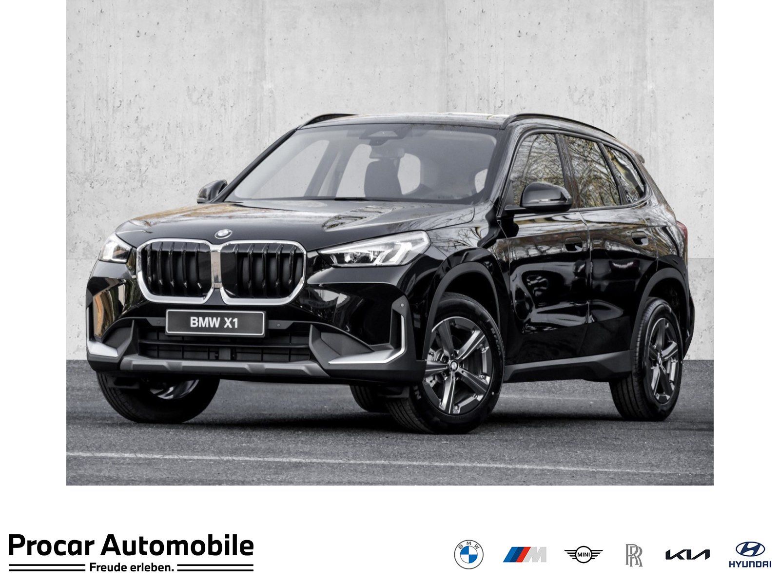 BMW X1 sDrive18i AHK RFK NAVI LED Sound Syst. DAB