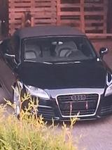Audi Roaster TT 2,0 - Audi A4: Cabrio, 2.0