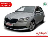 Skoda Fabia 1.0 Ambition Klimaaut. Tempomat SmartLink - Skoda Fabia Gebrauchtwagen in Erfurt