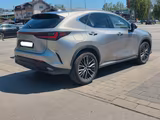 Lexus NX 450h 450h+ E-FOUR Luxury Line Luxury Line - silberne Lexus NX-Serie