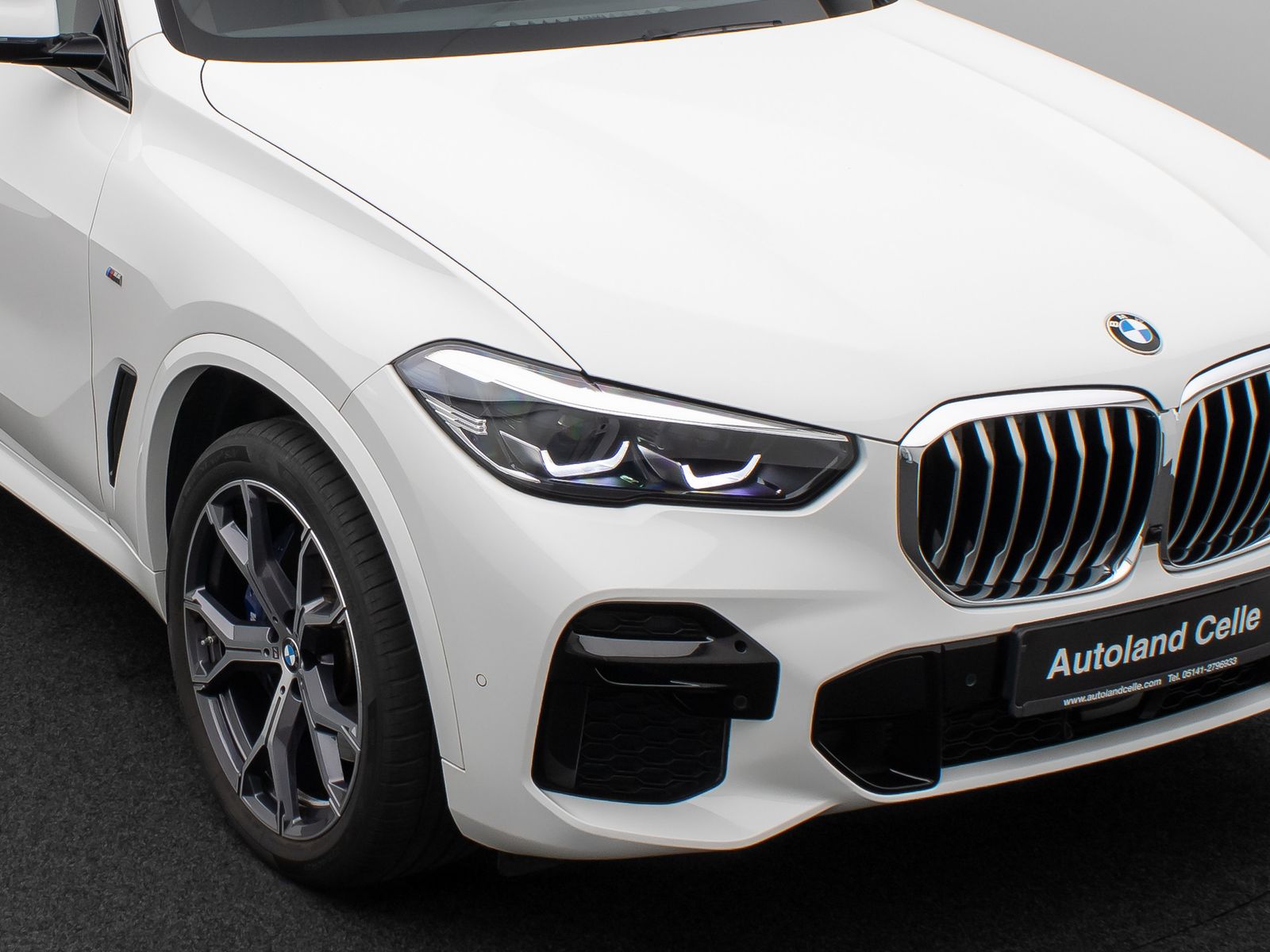 Fahrzeugabbildung BMW X5 xD30d M Sport Panoram Kamera HUD DAB HiFi 21"
