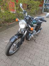 Triumph Bonneville T100 - TRIUMPH BONNEVILLE T100