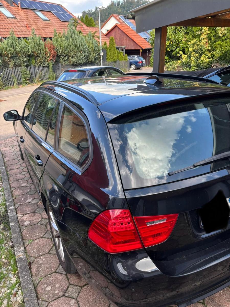BMW 320 2010 — rear view