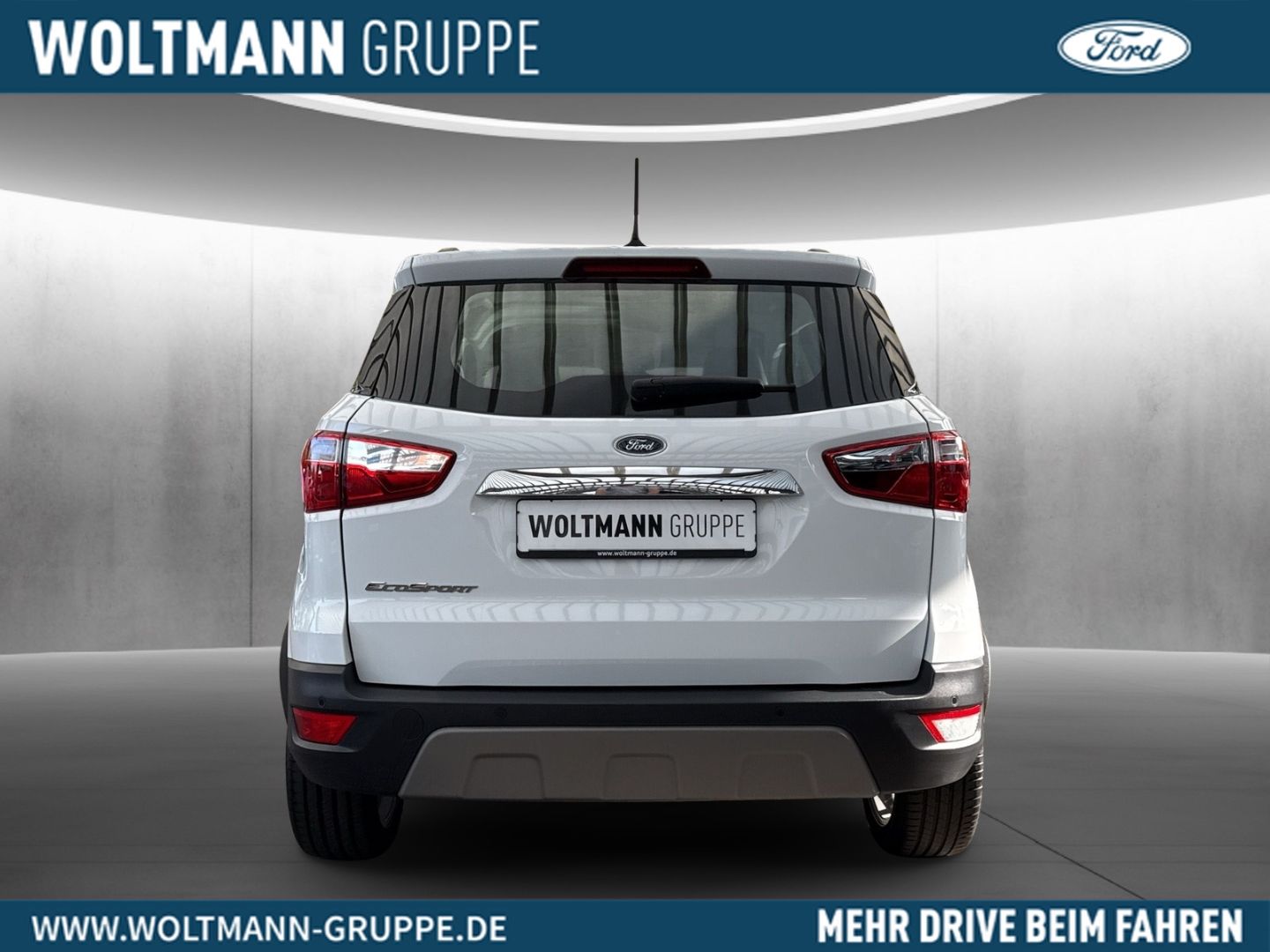Fahrzeugabbildung Ford EcoSport Titanium Hybrid/Navi/LED/KeyFree/B & O/