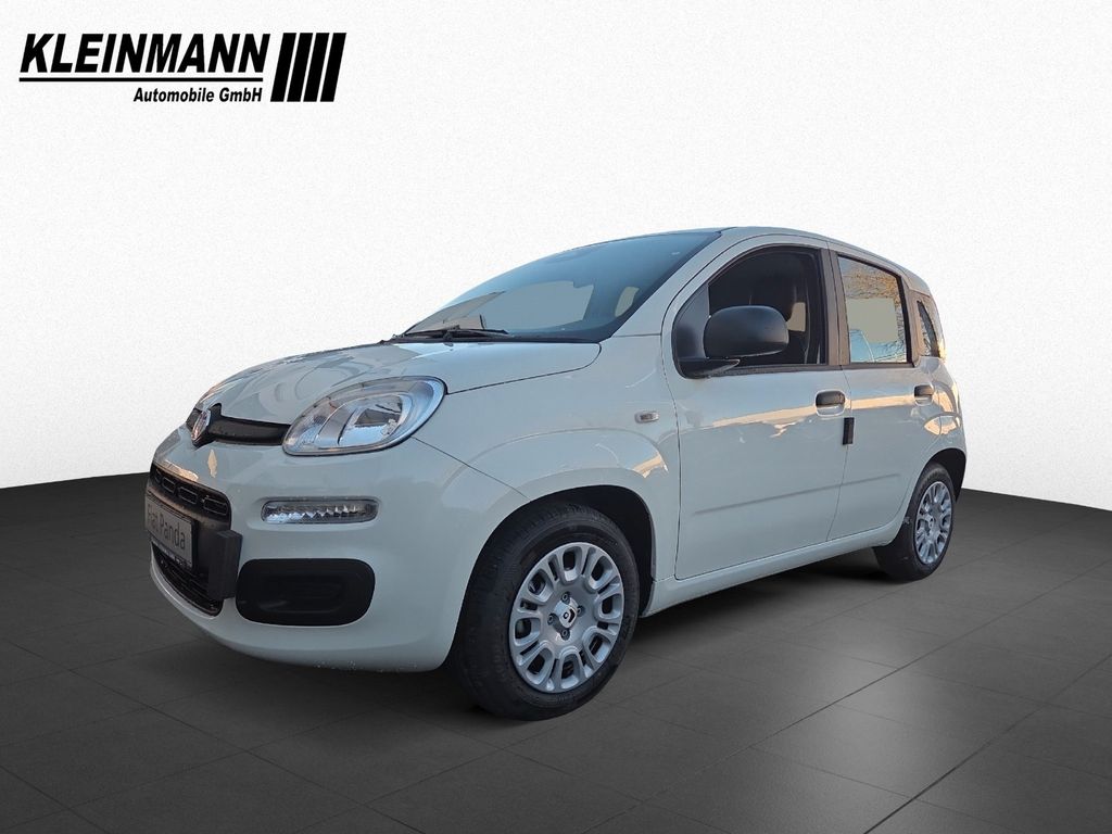 Image of Fiat Panda