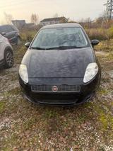 Fiat Punto 1.4 16V  - Fiat Punto aus 2009: 1.4