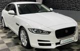 Jaguar XE Pure, Navi, Sitzheizung, Tempomat, Xenon - Jaguar XE: Pure