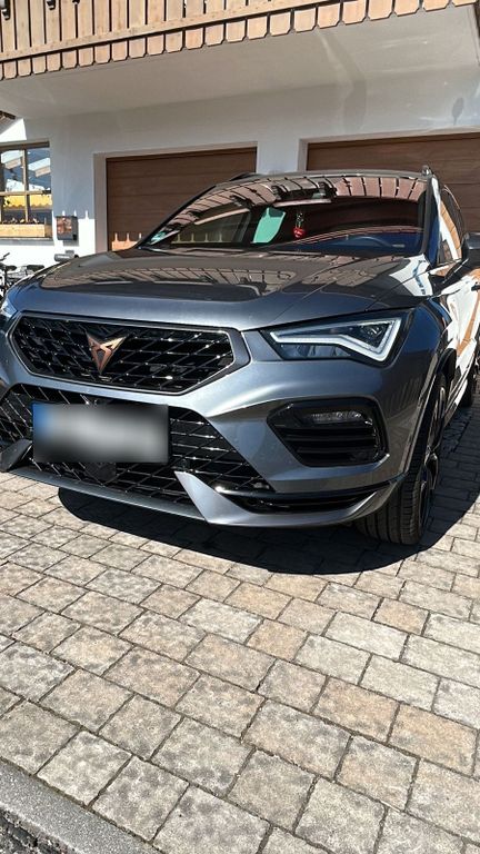 Image of Other Other