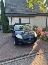 Fiat Punto 1.2L - Fiat Punto in Hamm