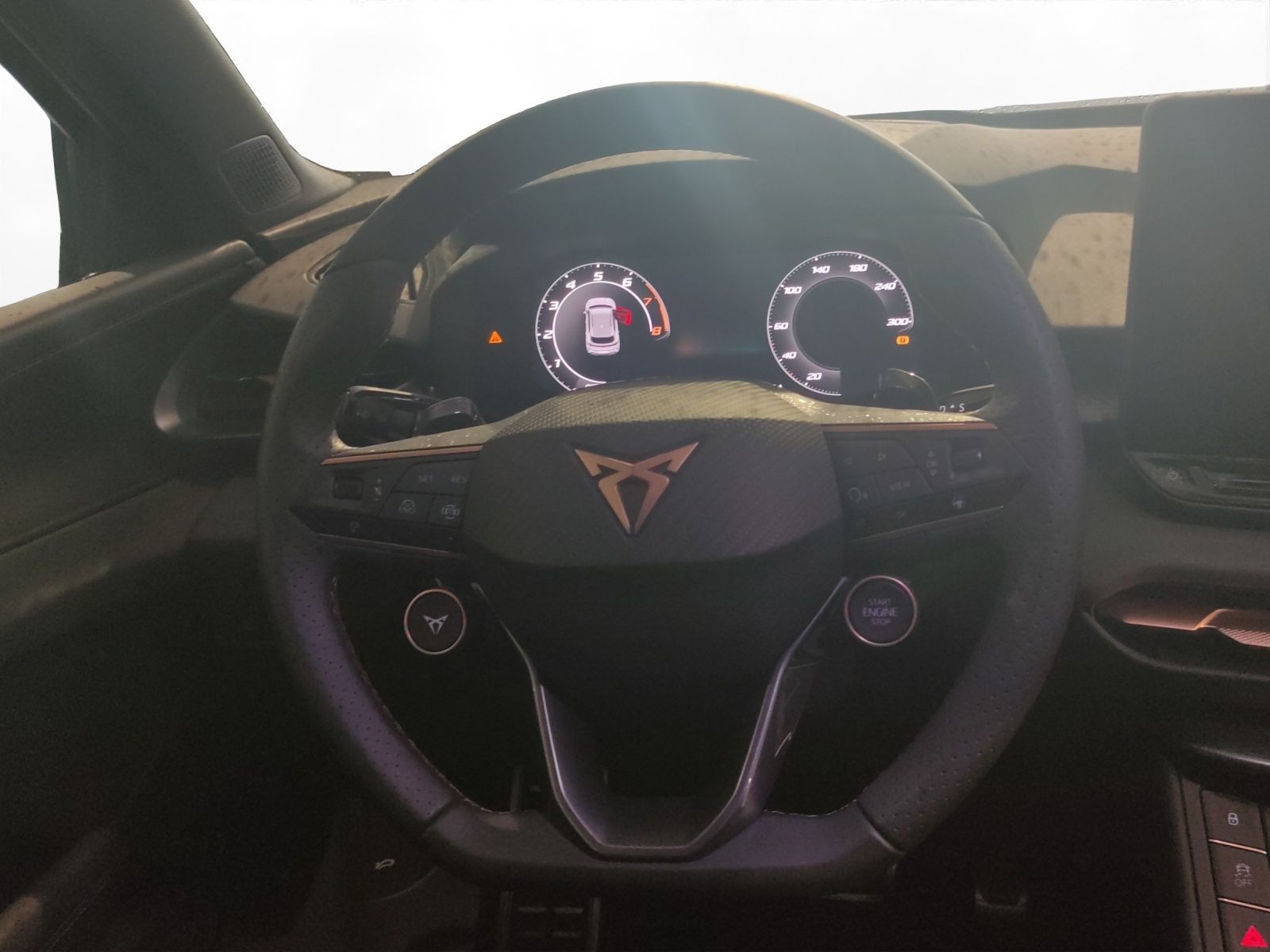 Cupra Terramar - Bild 11