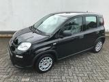 Fiat Panda MY24 1.0 GSE Hybrid Klimaanlage - Fiat Panda Gebrauchtwagen in Aachen
