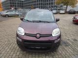 Fiat Panda - Fiat Panda Gebrauchtwagen in Hannover