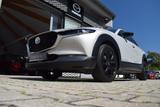 Mazda CX-30 2.0 150PS Homura Kamera Voll-LED DAB Navi  - silberne Mazda CX-30