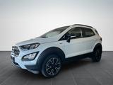 Ford EcoSport Active 1.0 /LED/LEDER/WINTER PA/17Z - gebrauchte Ford EcoSport aus dem Jahr 2022