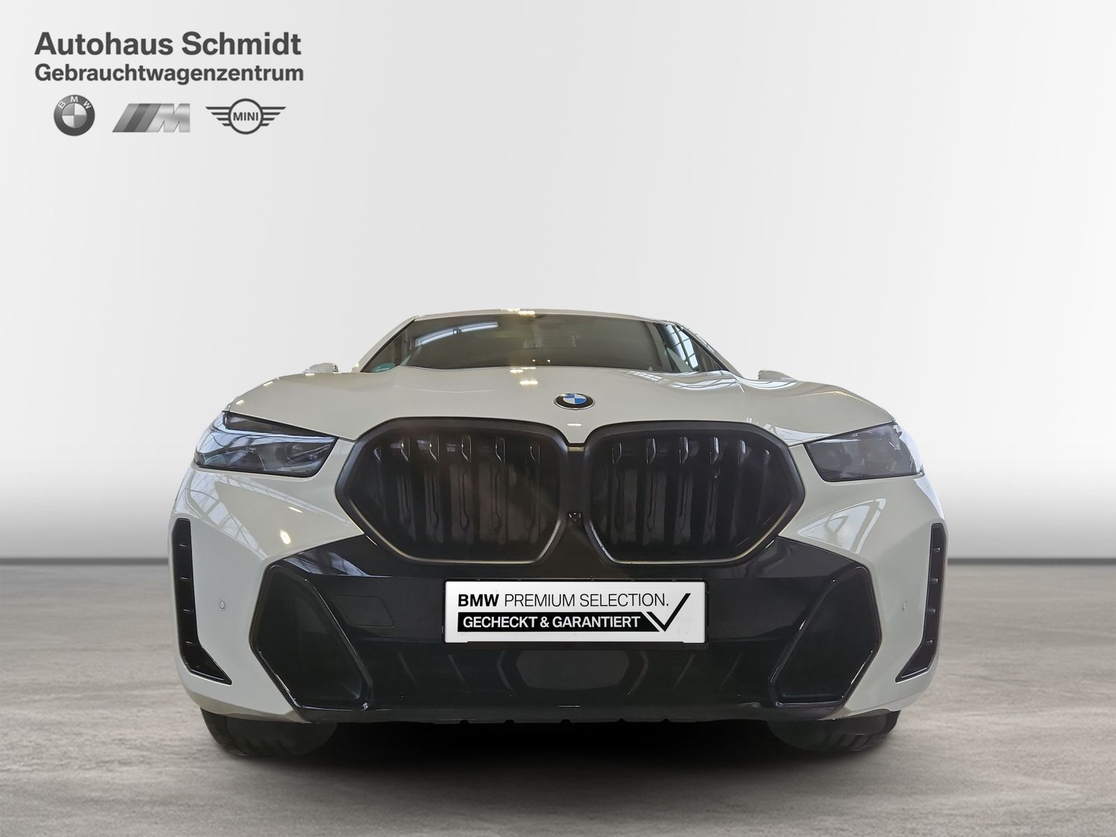 BMW X6 - Bild 6