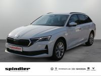 Skoda Octavia - Vorschau Bild 1