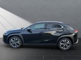 Lexus UX 250h*EXECUTIVE*PANO*PREMIUM*1HD*PANO* HUD* - Lexus UX in Düsseldorf
