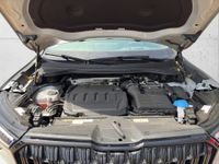 Skoda Kodiaq - Vorschau Bild 19