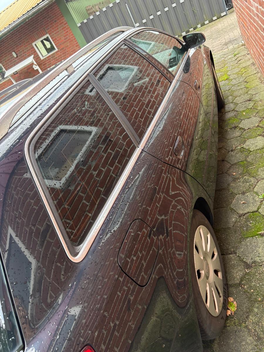 Audi A4 2006 — photo 6