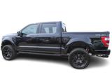 Ford F 150 Shelby SuperSnake Centennial Ed. / Limitie - Ford F 150: Shelby