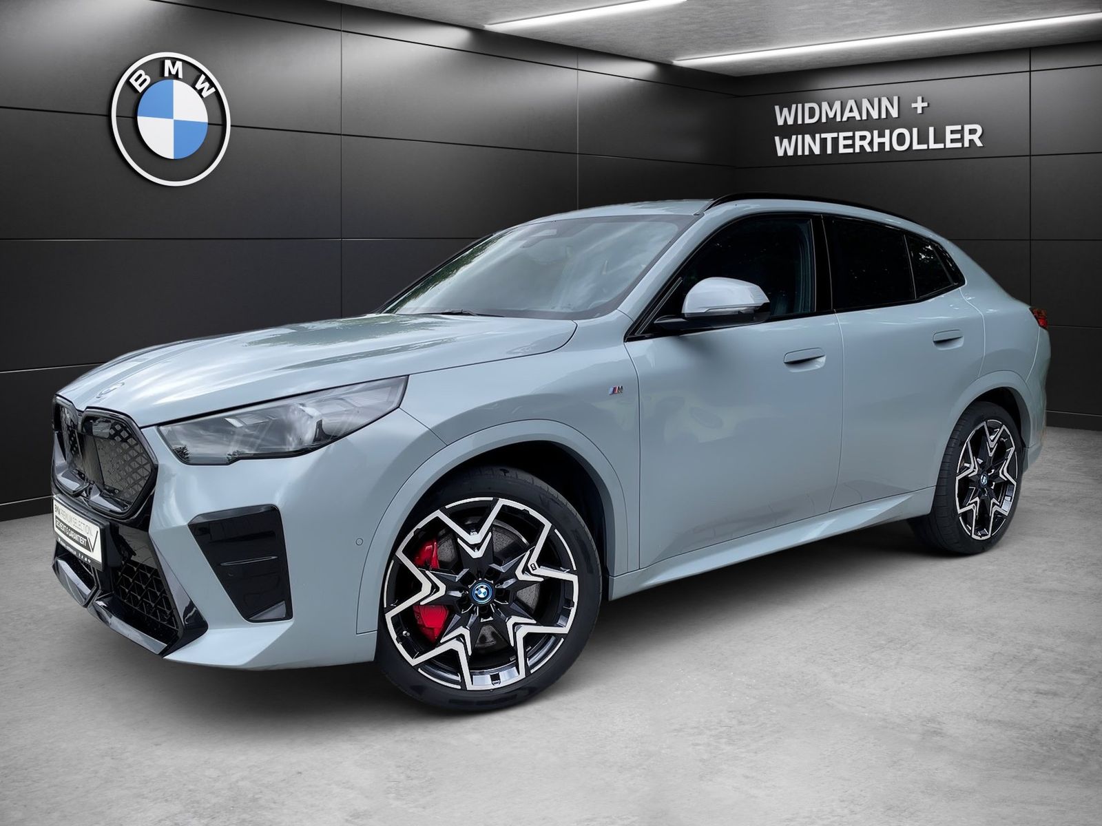BMW iX2 xDrive30 M Sport HUD LC Prof. DA H K AHK foto 1