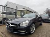 Mercedes-Benz SLK 250 SLK Roadster SLK 250 CDI XENON CABRIO - Mercedes-Benz SLK 250: Cabrio