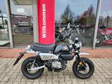 Honda Z 125 Monkey Vorführkrad - HONDA MONKEY