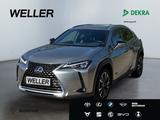 Lexus UX 250h Style Edition *Bi-LED*ACC*CAM*SHZ*CarPla - Lexus UX in Essen